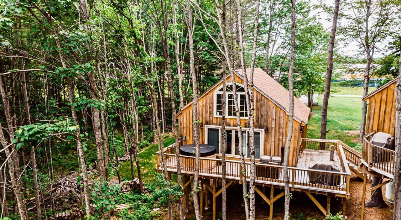 Moonlight Treehouse At Belgrade Hospitalityヴィラ エクステリア 写真